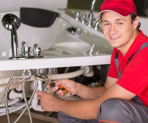 About Plumbers Pros Kanona, NY